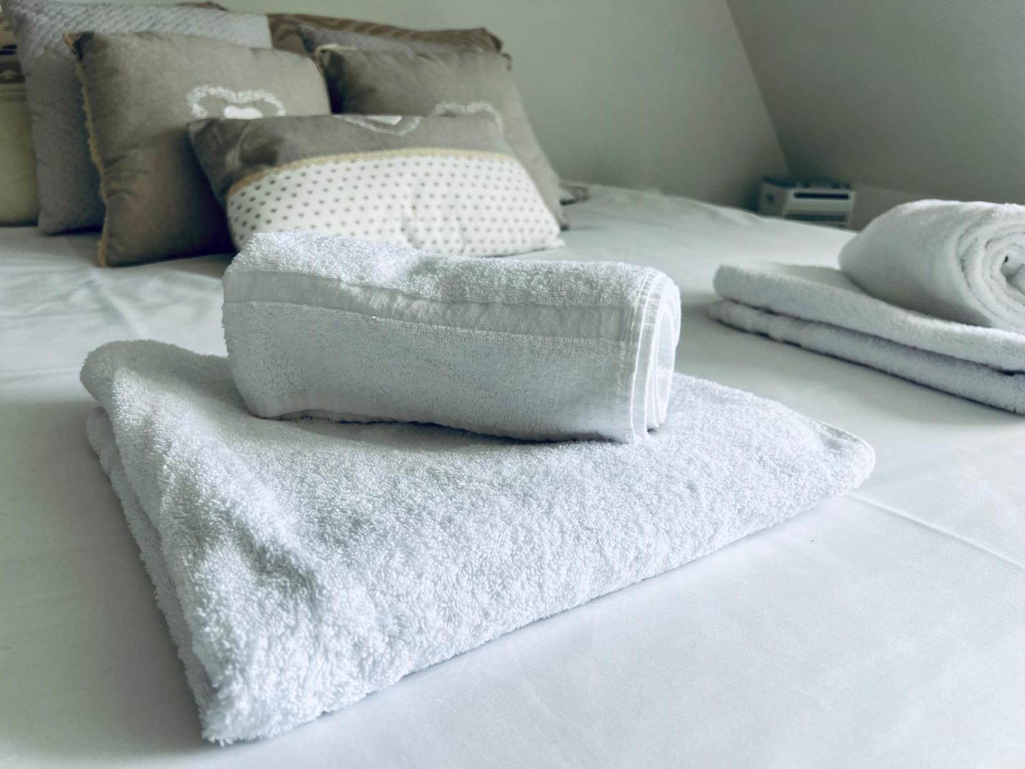 Le Manamour, Style Appart Hotel A 10 Min De Nevers Garchizy Eksteriør billede